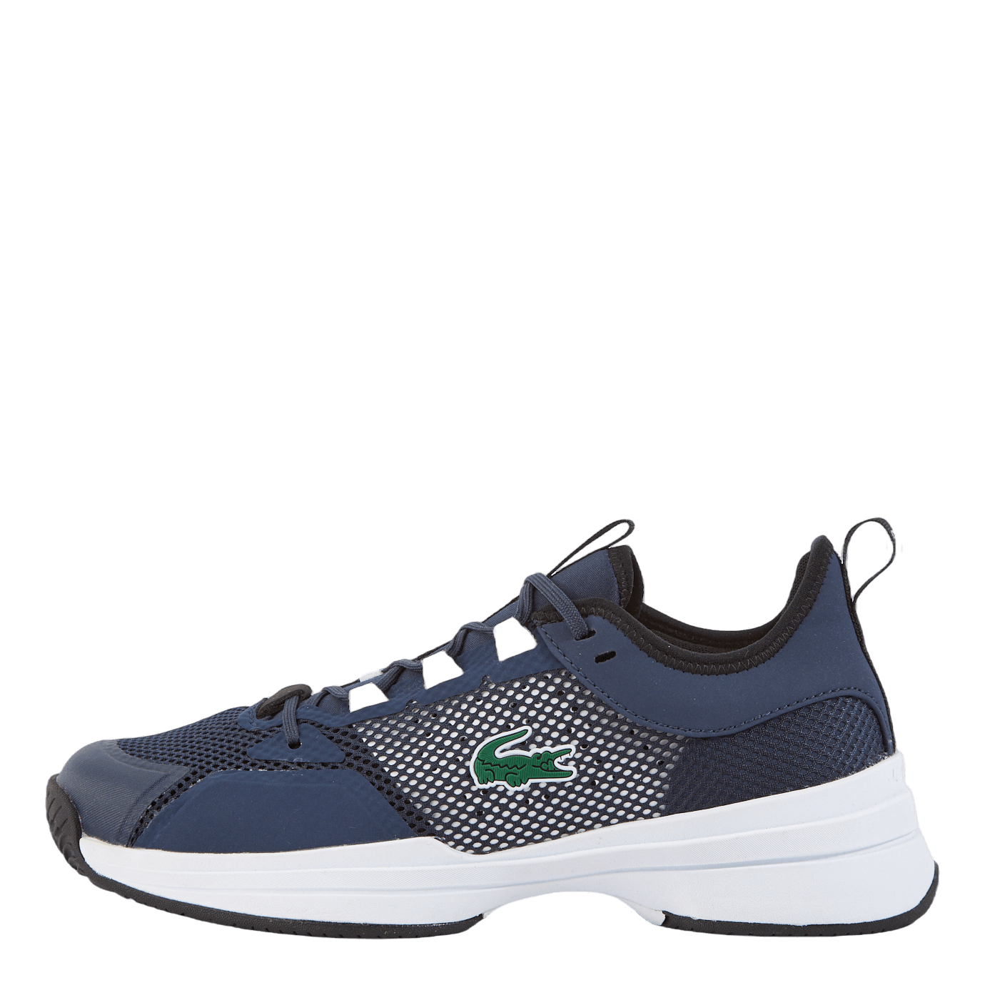 Lacoste menerva navy online