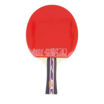 3d-c Table Tennis Racket