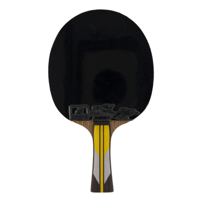 6a+ Table Tennis Racket